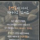 (주)동백투어 이미지