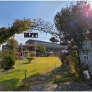 584 | 경기도 펜션 반려견과 가기 좋은 더스테이584 다녀온후기