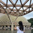 남경우 | 상해 난징동루말고 중국난징/남경 여행 - 우수산