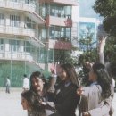 디토