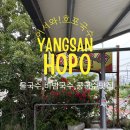 착한국수집 | 양산 호포 국수 후기 :) 국수 가격이 너무 착한 노포 감성 가득 국수집, 콩국수까지 먹고 온 후기