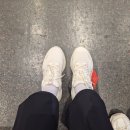 조선일보서여의도지국 | 2026 서울하프마라톤 10km 완주 후기 (인생 첫 마라톤이 서하마라니)