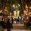 COZY GARDEN(코지가든) 이미지