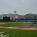 한밭야구장 이미지