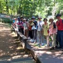 폭염 속 우면산 무장애숲길을 걸으며 ＜1＞ 이미지