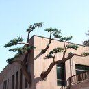 성불산자연휴양림 이미지