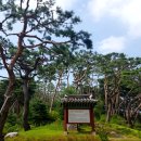 삼한국대부인순흥안씨묘 이미지