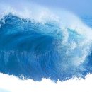 순남이네 이미지