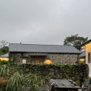 캐나다삼춘