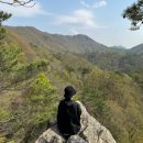 평창 거문산 1175mㅡ금당산 1173 m 산행ㅡ 법 장사 입구 고대동 법장사 ㅡ 거문산 정상 ㅡ 금당산 삼거리 금당산 정상 ㅡ 왕관바 이미지