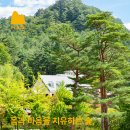 몸과 마음을 치유하는 숲 || 백두대간 산림생태문화체험단지