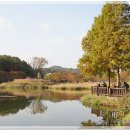 율동공원 이미지