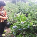 학산농장 이미지