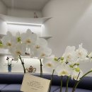 연세리셀재활의학과의원 네이버블로그