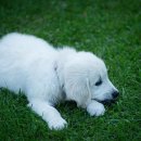 일관메디컬 이미지