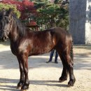 너른공원 이미지