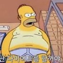 더슈가네돈가츠 | 케어센스 에어+필라이즈 슈가케어 연속혈당측정기 혈당 다이어트=내 몸을 알아가기 첫 단계🐎🐎🐎