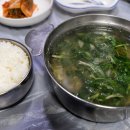 남강식당 Daum카페