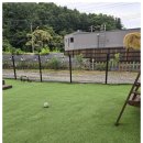 딩동댕애견스파풀빌라 이미지