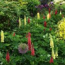 창조가든 이미지