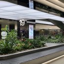 26500-76-06-006 | 망고바나나의 싱가포르 여행 후기 day 1_입국