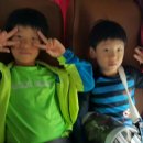 영수태권도 이미지