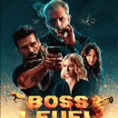 보스 이미지