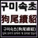 구미속초(狗尾續貂) 이미지