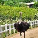 (주)수레 이미지