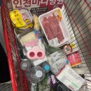 코지네이쳐 이미지