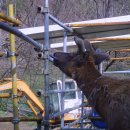 신덕농장 이미지