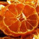 쭈쭈농장 이미지