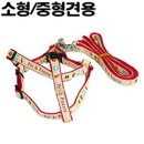 펫앤피플 이미지