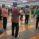 매일스포렉스 이미지