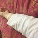 화정벌의원 이미지