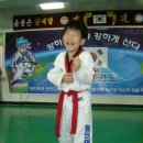 홍인태권도 이미지