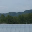 장선리 마을회관 이미지