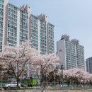 금곡부동산공인중개사사무소 이미지