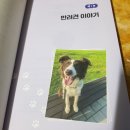 알파문구 내포점 | 산책하는 강아지 서평후기