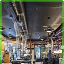 신마포갈매기 이미지