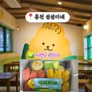 7249 | 홍천 대형카페 빵집 – 옥수수술빵으로 유명한 섬섬이네 솔직 후기