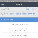 샌드아트버블쇼 이미지