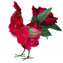 닭 씨리즈 이미지