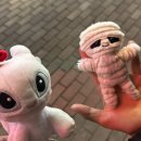 카페라삔 | 오랜만에…