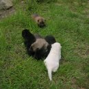 하늘내린강산 이미지