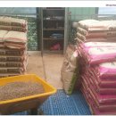 초방리 축사 이미지