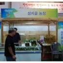 성지골 농장 네이버블로그