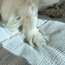 견생묭실 이미지