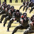 특공무술 이미지