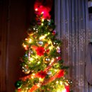 트리벅스 이미지